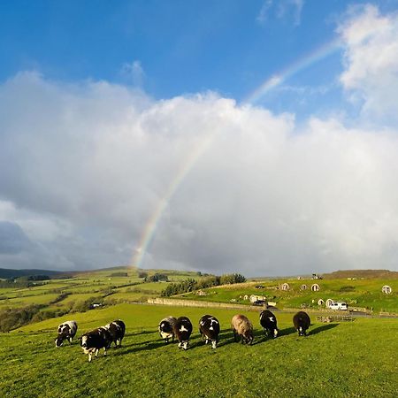 Shepherds View Rhayader Luaran gambar