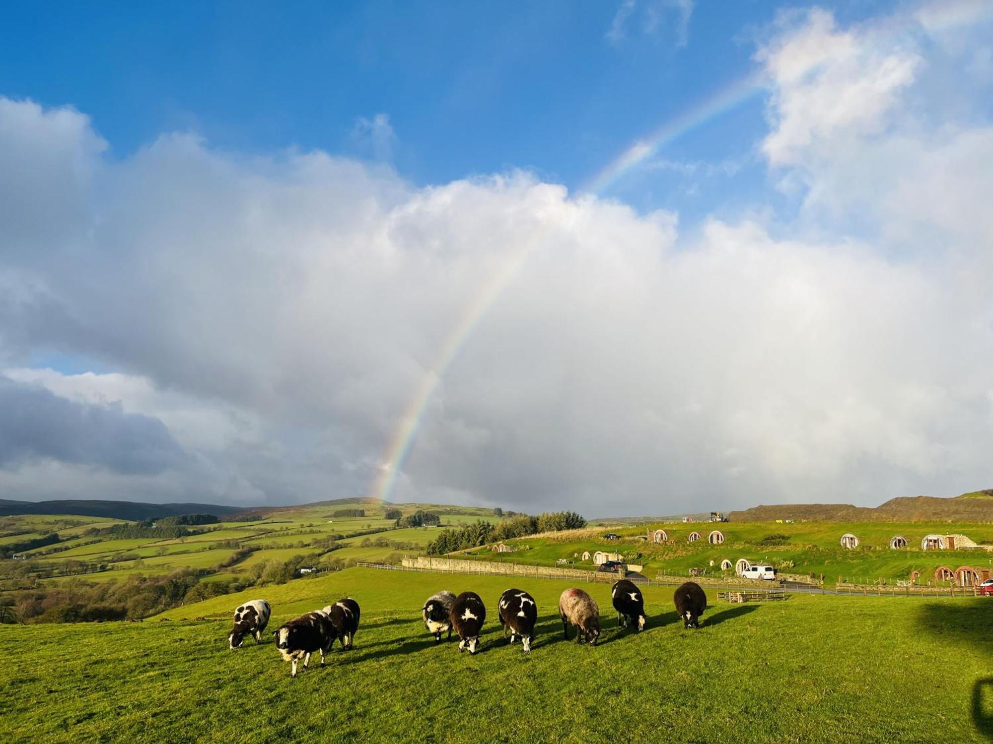 Shepherds View Rhayader Luaran gambar